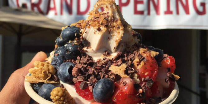 Vegan Frozen Yogurt Shop, Yoga-urt, Opens in California