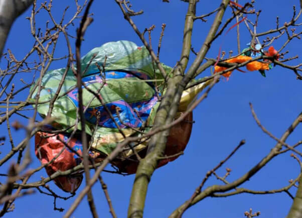 Balloon litter caught in tree