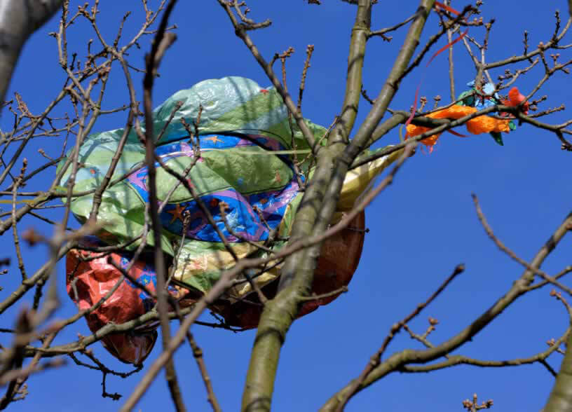 Balloon Releases Littering and Killing Animals PETA