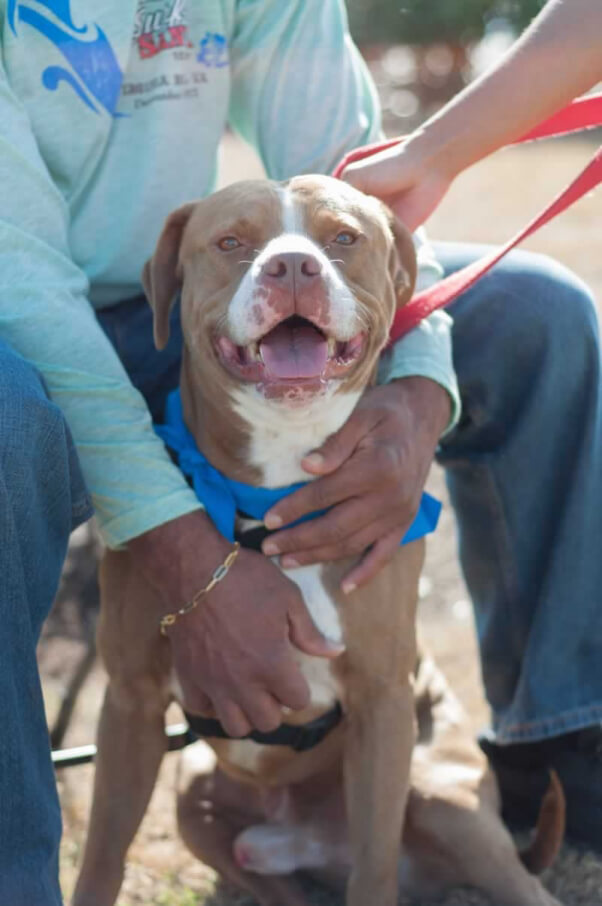 Fall Adoptathon_10.24.15_01