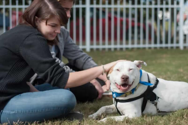 Fall Adoptathon_10.24.15_34