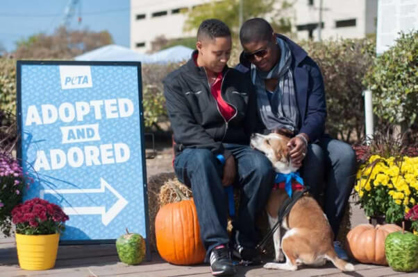 Fall Adoptathon_10.24.15_55