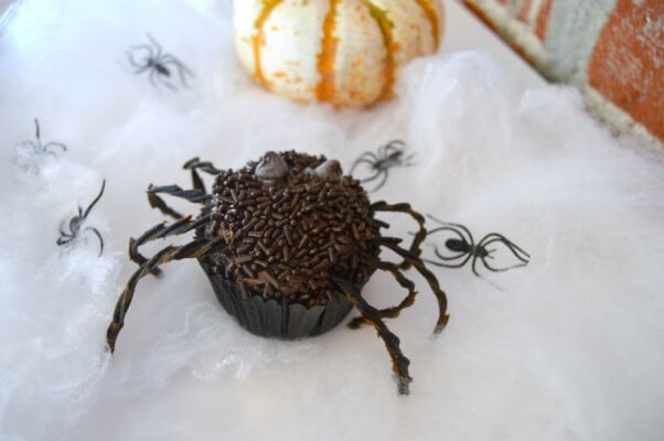 Halloween Recipe Chocolate Spider Cupcake