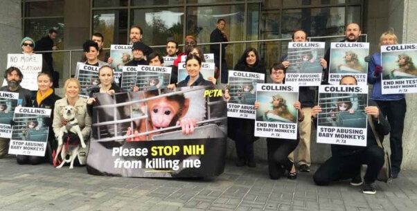 PETA supporters protest baby monkey experiments at pediatric conference