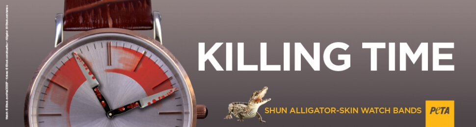 Killing Time