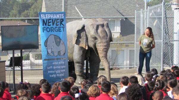 Ellie, PETA's life-size robotic elephant