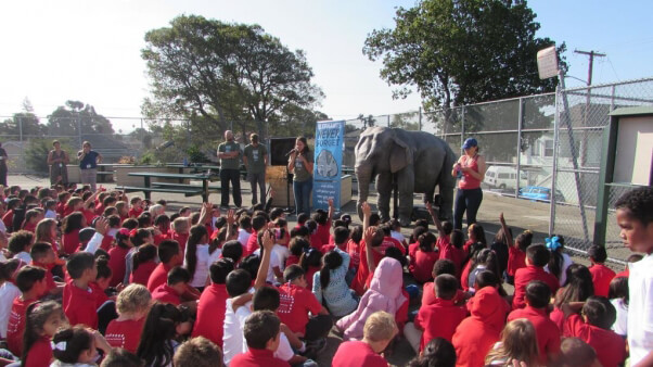 Ellie, PETA's life-size robotic elephant