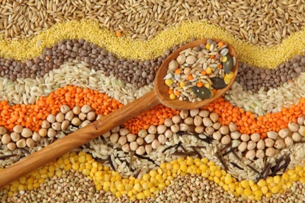 Various seeds and grains