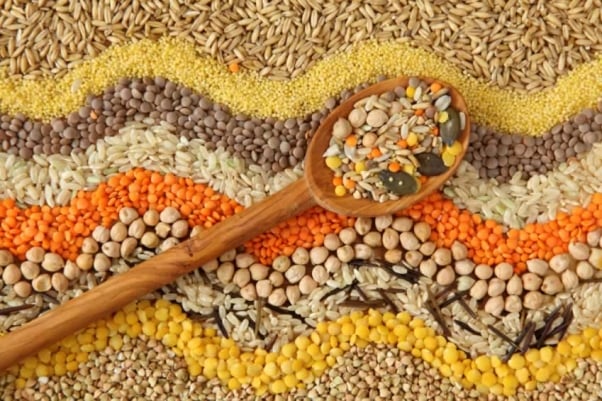 Various seeds and grains