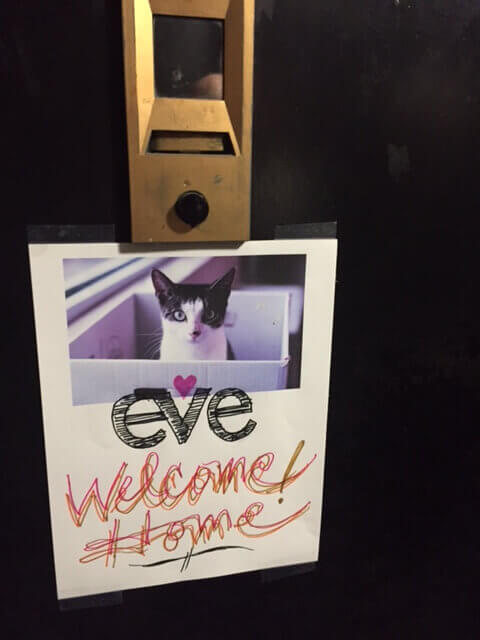 Welcome home, Eve