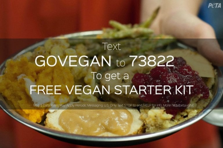 Celebrate a Vegan Holiday PETA