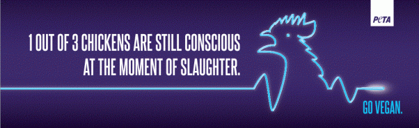 One in Three Chickens Are Still Conscious at the Moment of Slaughter billboard