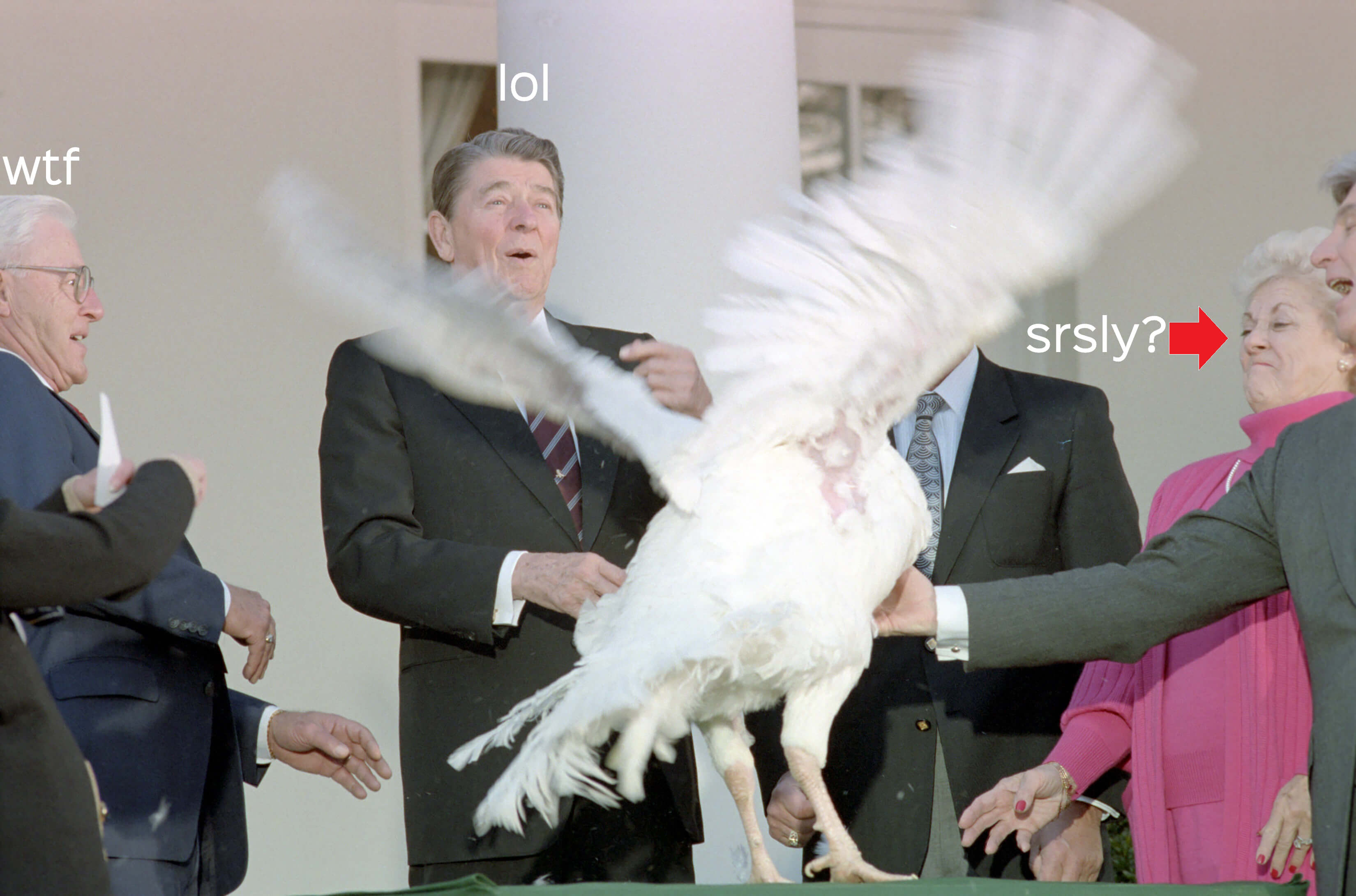 pardoned turkeys after the ceremony