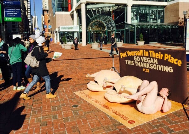 Nude Protestors On Giant Cutting Boards Call For Turkey Free Thanksgiving Peta