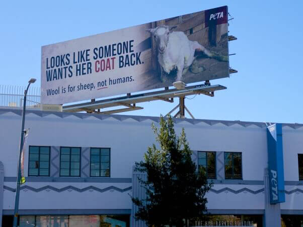 Anti-wool billboard above PETA