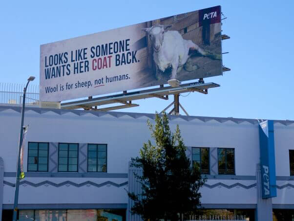 Anti-wool billboard above PETA's Los Angeles headquarters