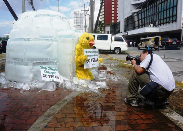 PETA Asia Pacific igloo demo