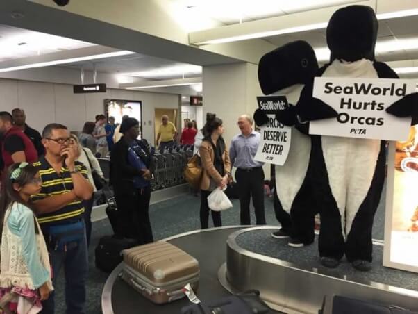 'Orcas' protest at Orlando airport