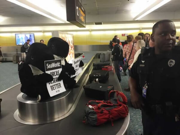 'Orcas' protest at Orlando airport