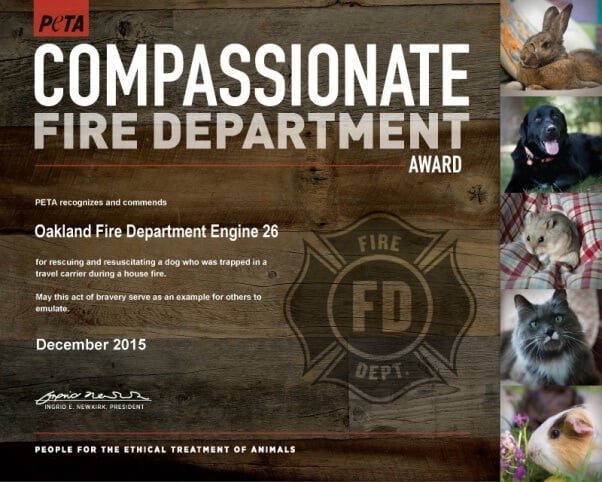 resivedCompassionateFireDept_ENGINE 26_Oakland Fire Department