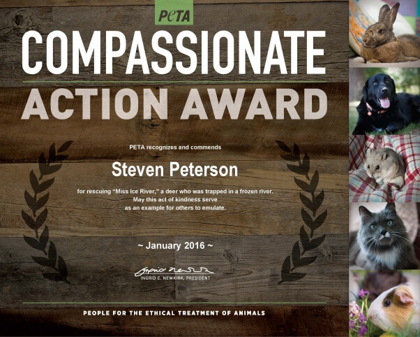 CompassionateAction_STEVEN PETERSON_1-6-16