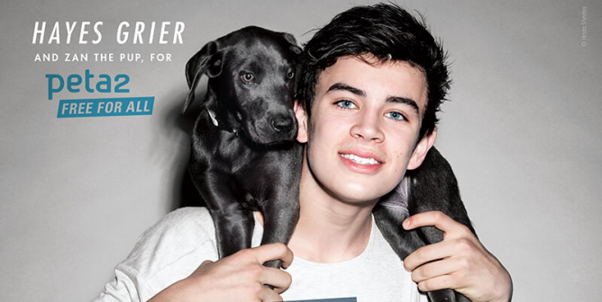 Hayes Grier: Adopt, Don’t Shop