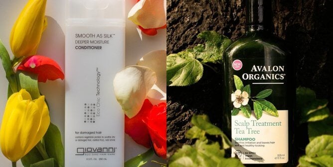 Best Cruelty-Free Shampoos and Conditioners