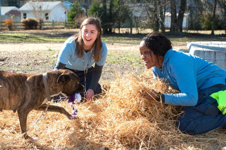 5 Things PETA Can Do to Help Animals With Just $5 | PETA 5 Things PETA Can Do to Help Animals With Just $5 | PETA