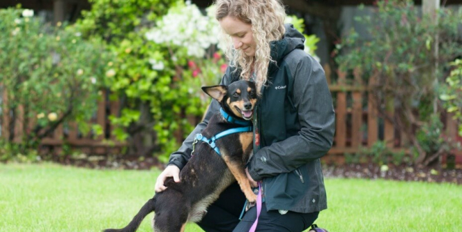 woman and rescued dog on grass