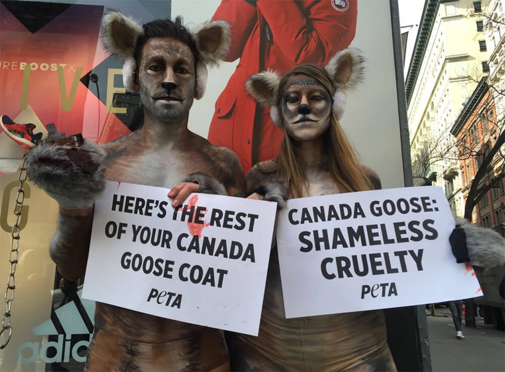 canada goose real fur peta canada goose real fur peta