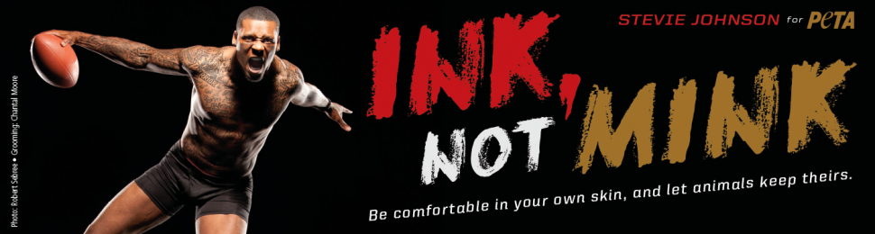 Stevie Johnson: Ink, Not Mink