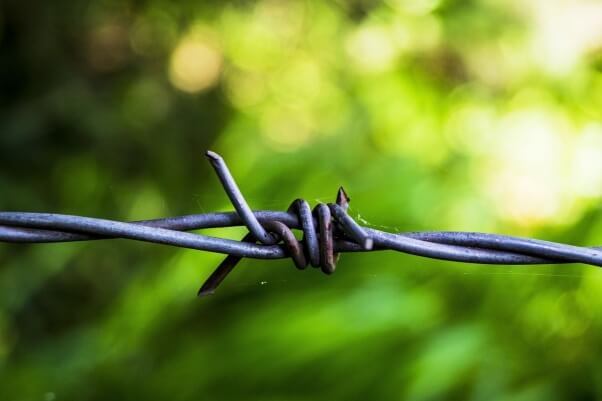 Barbed wire