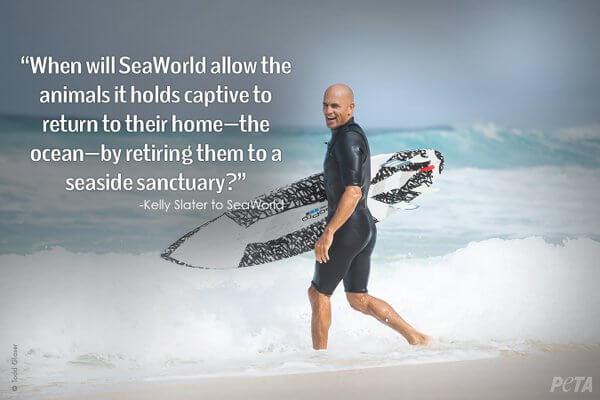 Kelly Slater — Professional Surfer and Environmental Activist