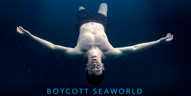 miguel bernardeau in a peta ad to save the whales and dolphins at SeaWorld
