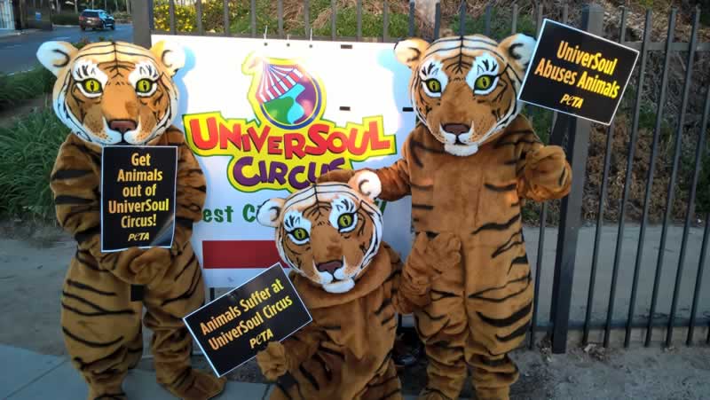 UniverSoul Goes Animal-Free