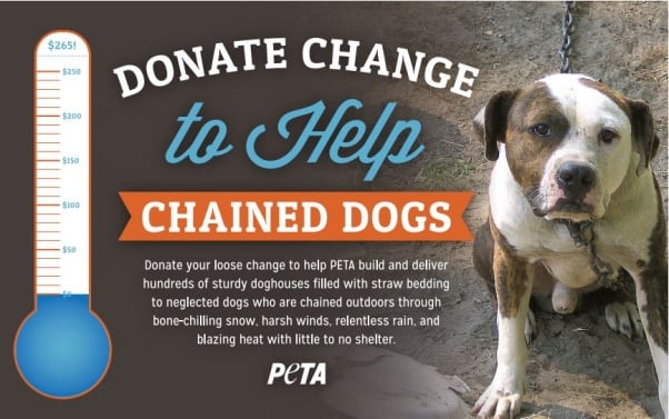 change for chained dogs