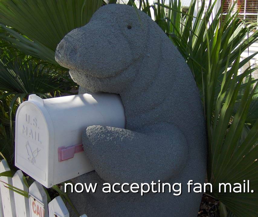 manatee appreciation day: manatee mailbox