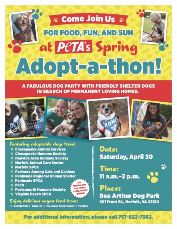 Spring Adopt-A-Thon poster 2016