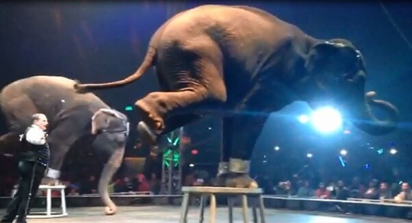 universoul-Handstand-700