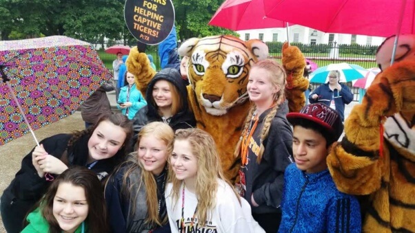 Dancing tiger demo at White House