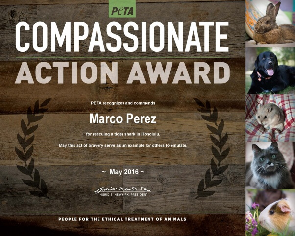 CompassionateAction_Marco