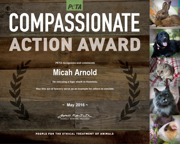 CompassionateAction_Micah