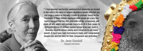 GodsInShackles-JaneGoodall-Endorsement-V1