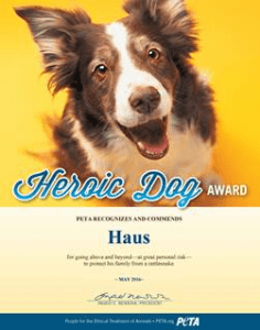 Haus heroci dog award