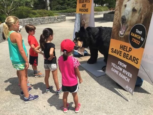 Bernard the Bear demo