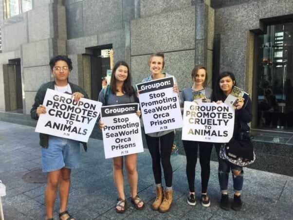 PETA supporters at Groupon shareholders meeting