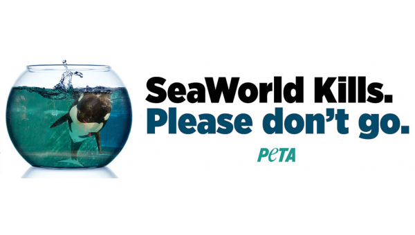 SeaWorld Kills: Please Don’t Go