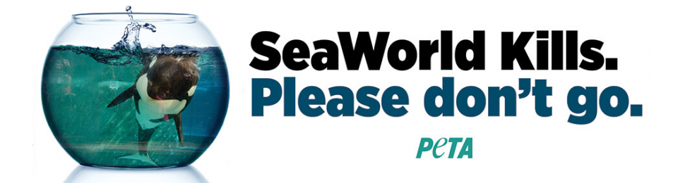 SeaWorld Kills: Please Don’t Go