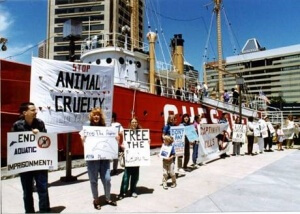 national aquarium dolphin relocation announcement 2