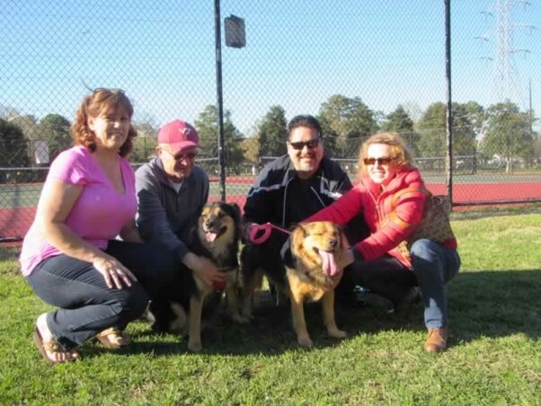 Buddy and Shelby with their new families